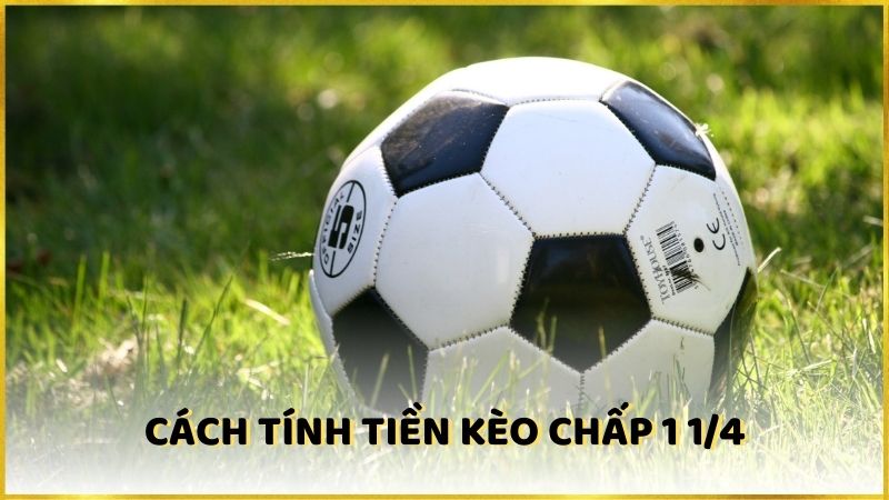 Cách tính tiền thắng cược cho kèo chấp 1 1/4