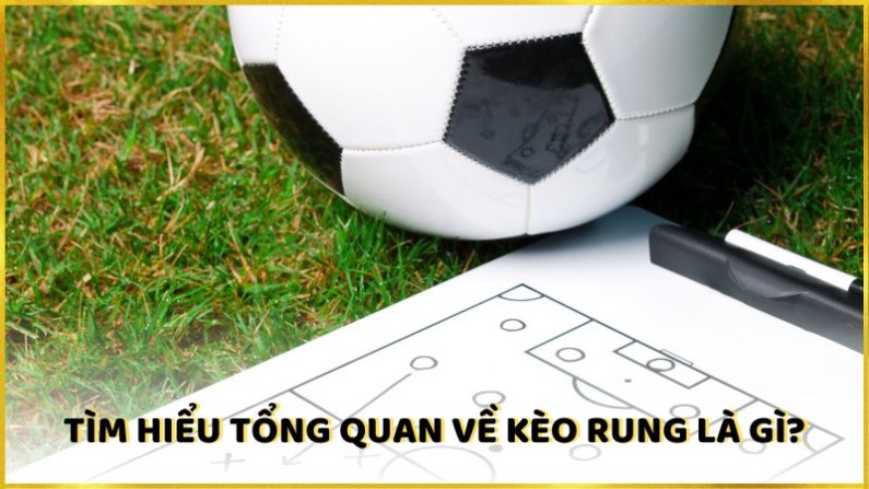 Kèo Rung Là Gì? Kèo rung có đặc điểm gì? 