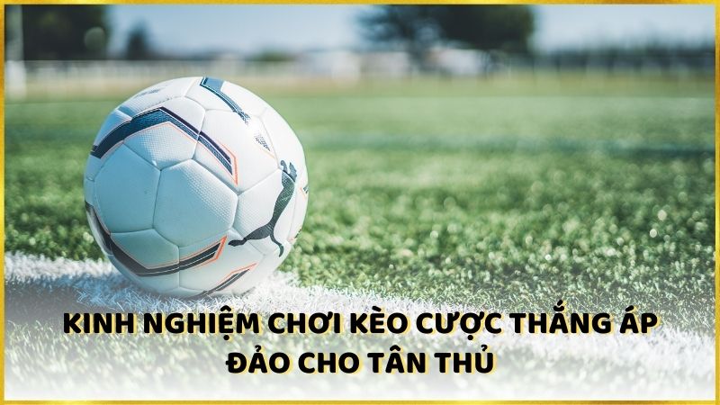 Kinh nghiệm chơi kèo cược thắng áp đảo cho tân thủ