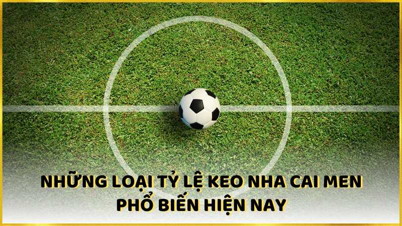 Những loại tỷ lệ keo nha cai men phổ biến hiện nay