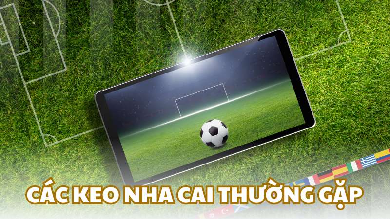 Các keo nha cái thường gặp hiện nay