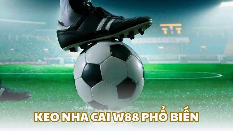 Các keo nha cai W88 phổ biến