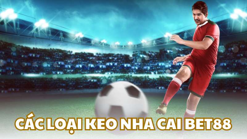 Các loại keo nha cai BET88 được ưa chuộng