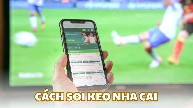 Cách soi keo nhà cai hiệu quả từ cao thủ