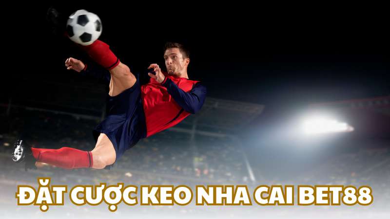 Đặt cược keo nha cai BET88 phổ biến