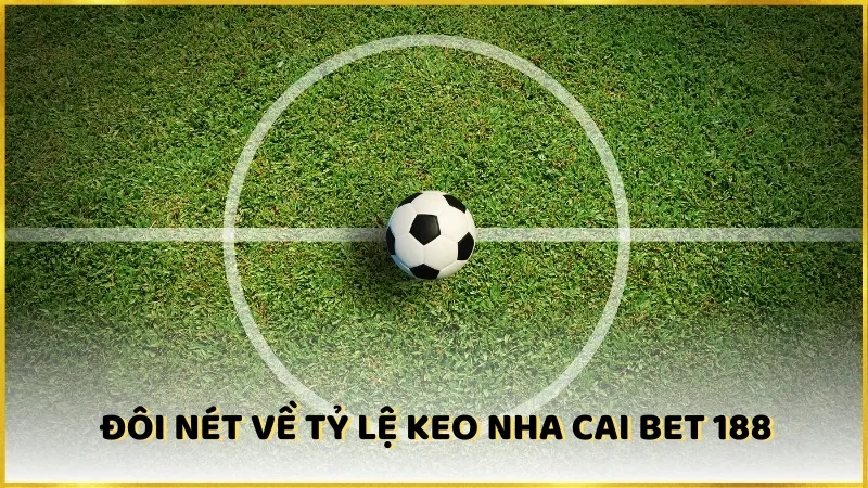 Đôi nét về tỷ lệ keo nha cai bet 188 