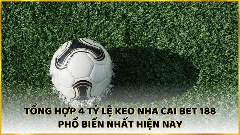 Tổng hợp 4 tỷ lệ keo nha cai bet 188 phổ biến nhất hiện nay 