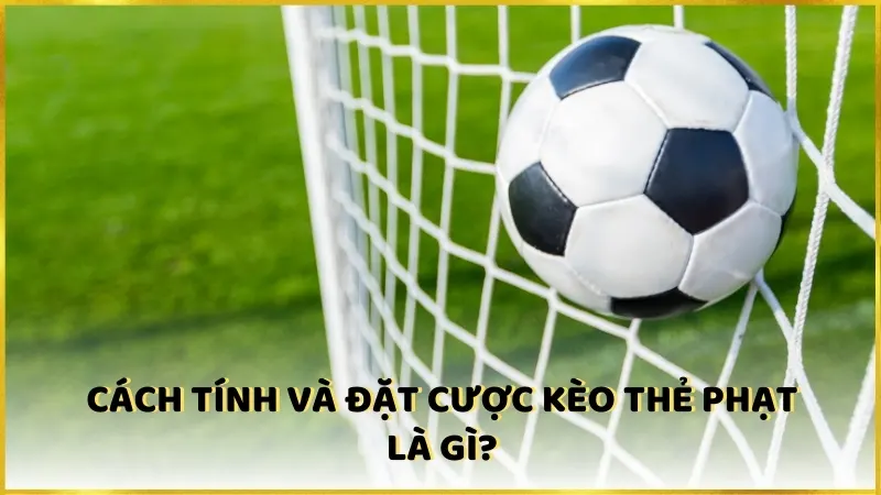 Cách tính và đặt cược kèo thẻ phạt là gì?