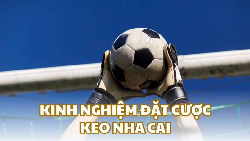 Kinh nghiệm đặt cược keo nha cái uy tín