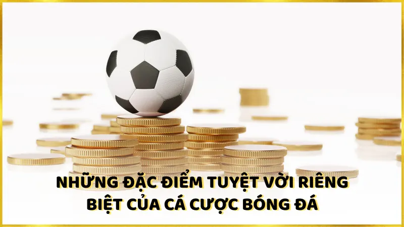 Những đặc điểm tuyệt vời riêng biệt của cá cược bóng đá