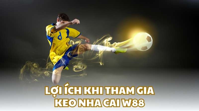 Lợi ích khi tham gia keo nha cai W88