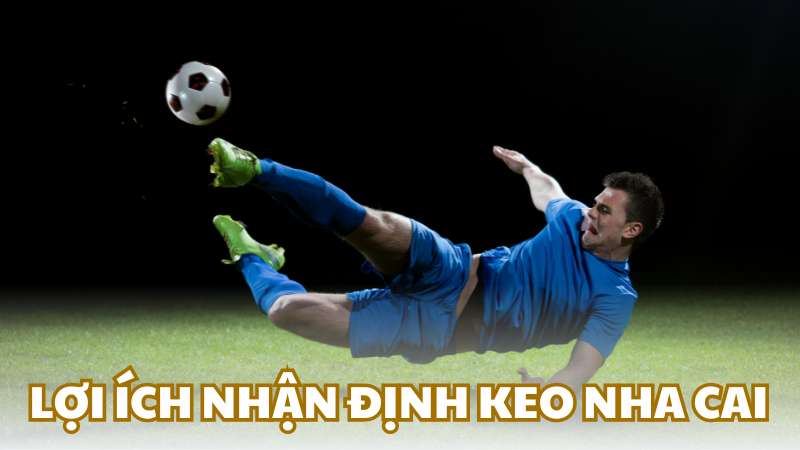 Lợi ích của nhận định keo nha cai