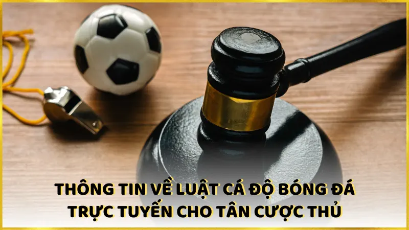 Thông tin về luật cá độ bóng đá trực tuyến cho tân cược thủ