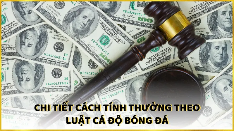 Chi tiết cách tính thưởng theo luật cá độ bóng đá