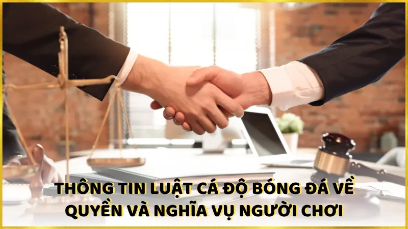 Thông tin luật cá độ bóng đá về quyền và nghĩa vụ người chơi