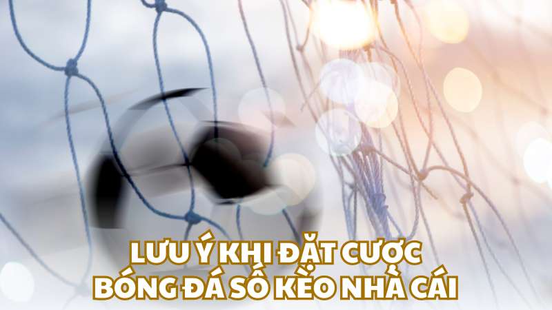 Lưu ý khi đặt cược bóng đá số kèo nhà cái