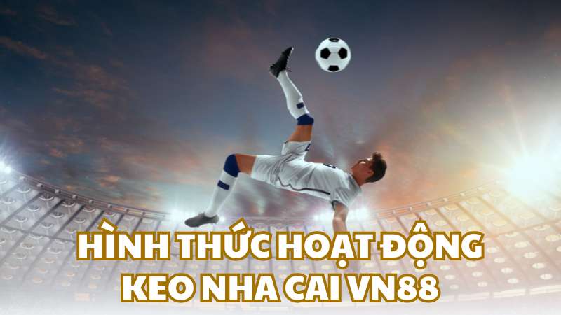 Phương thức hoạt động của keo nha cai vn88