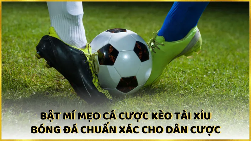 Bật mí mẹo cá cược kèo tài xỉu bóng đá chuẩn xác cho dân cược