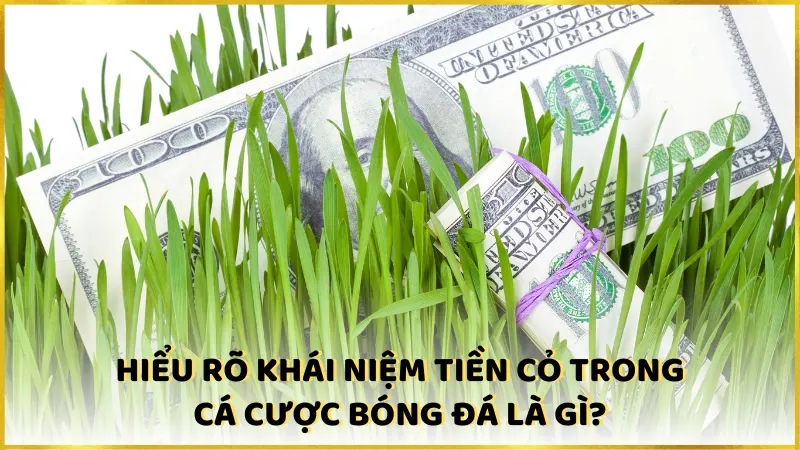 Hiểu rõ khái niệm tiền cỏ là gì?