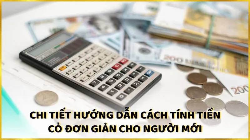 Mẹo giúp bạn kiếm tiền cỏ trong cá độ bóng đá