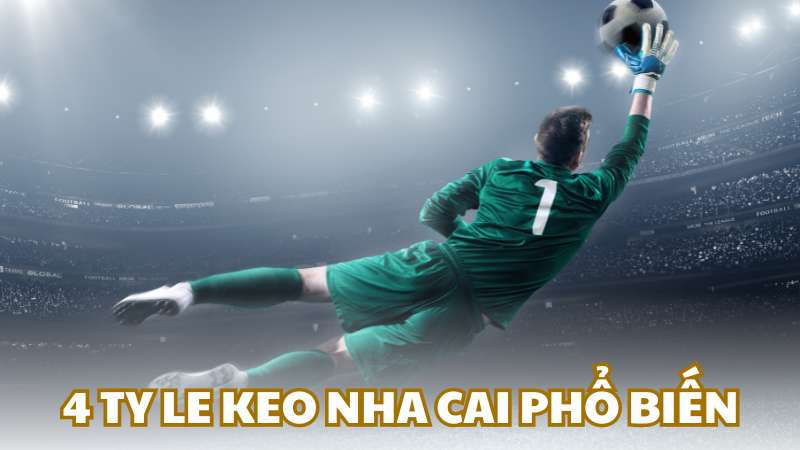 Tìm hiểu 4 tỷ le keo nha cai phổ biến