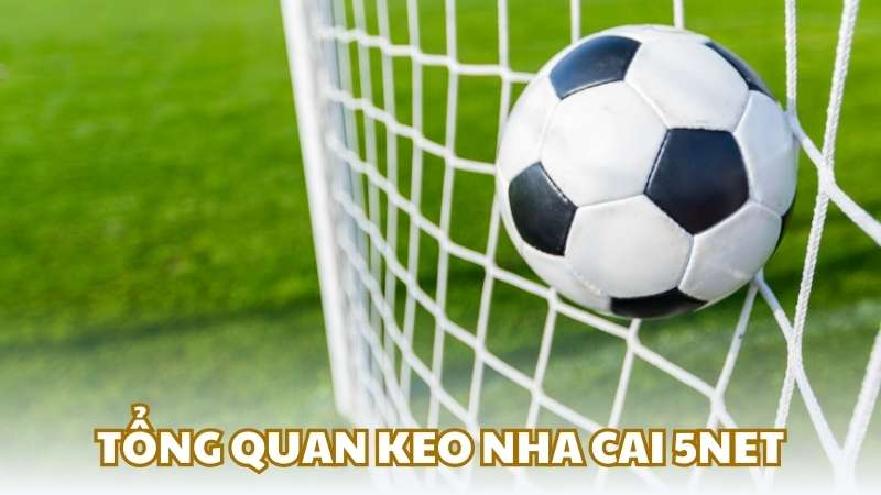 Tổng quan keo nha cai 5net